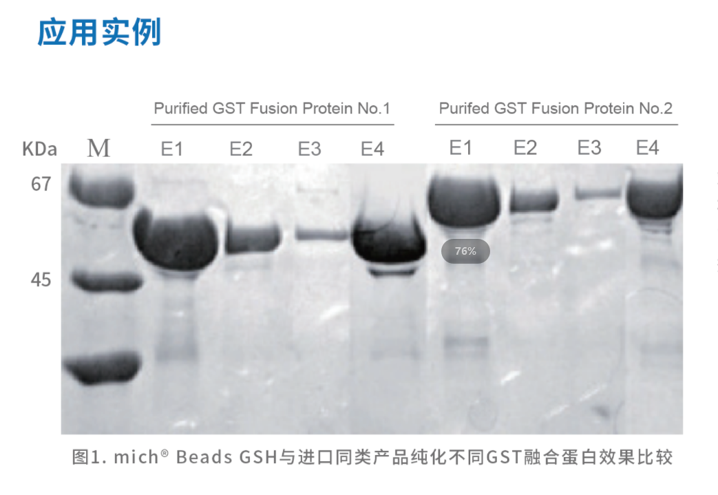 GST應(yīng)用實例.png